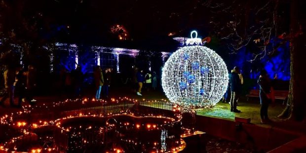 Conoce el mágico recorrido por el Jardín Botánico de Madrid en «Naturaleza Encendida»