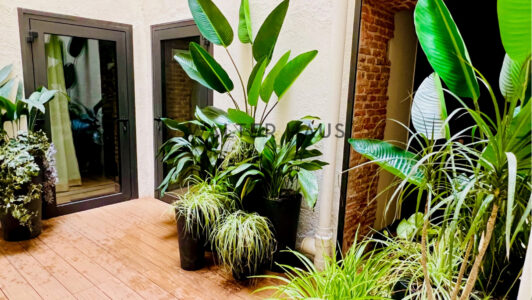Patio9693.jpg