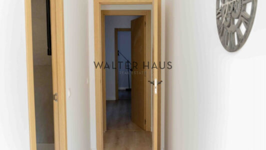 294906.jpg