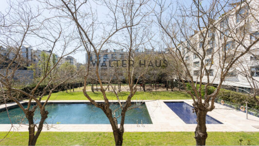 Avila55_245605-2.jpg