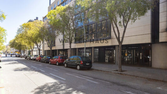 Avila55_401742.jpg