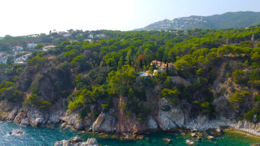 DJI_04754830.jpg