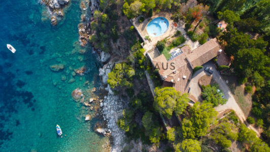 DJI_04797503.jpg