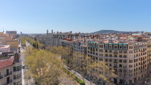 DSC01489-HDR2362-1.jpg