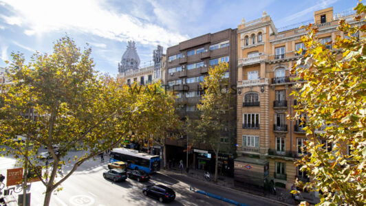 Principe20de20Vergara202202066342.jpg