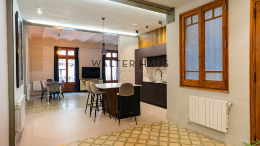 seneca-27-22538.jpg