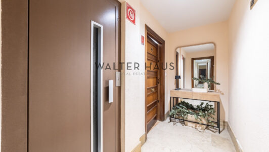 52A13381619-1.jpg