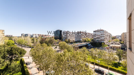 52A27639419-6.jpg