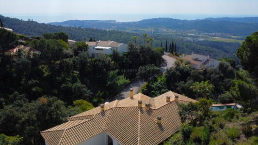 DJI_07975256.jpg
