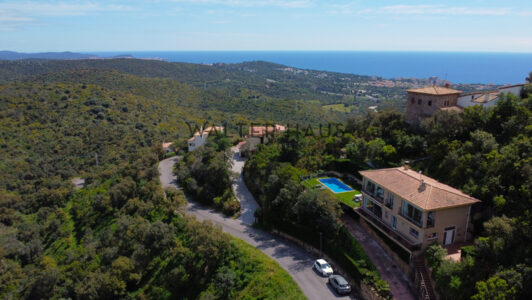 DJI_0833825-1.jpg
