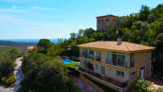 DJI_08384394-1.jpg