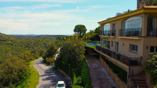 DJI_08408515-1.jpg
