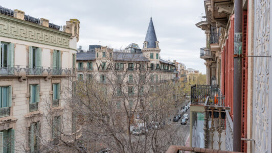 DSC01617-HDR3322-6.jpg