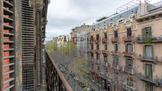 DSC01629-HDR9466-6.jpg