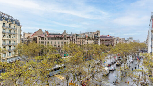 DSC01842-HDR-Editar4533.jpg