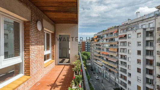 DSC02773-HDR2951-2.jpg