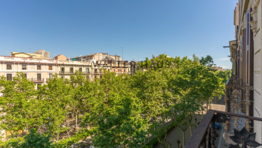 DSC04623-HDR3754-3.jpg