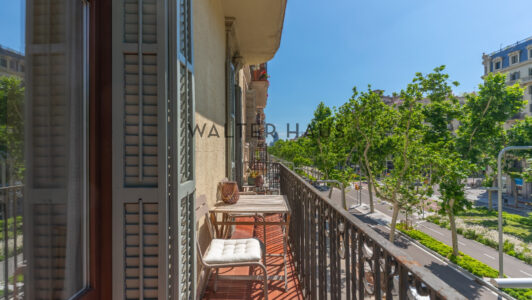 DSC06846-HDR9981-5.jpg