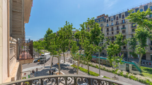 DSC06861-HDR353-5.jpg