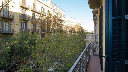 M_436706.jpg
