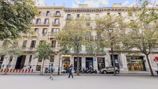 P120-20241327-1.jpg
