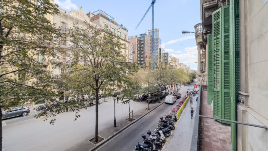 P120-2071539-1.jpg