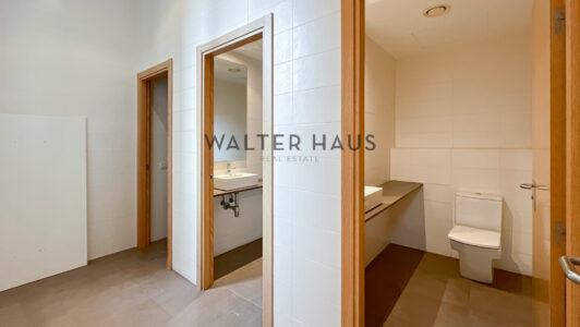 Photo2033-66ce5575-1.jpg