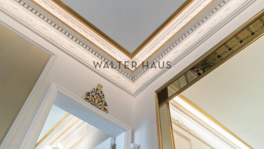 WalterHaus_Av.20Diagonal201_393322-3.jpg