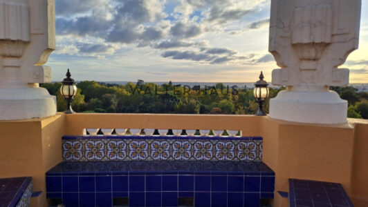 terraza9915-1.jpg