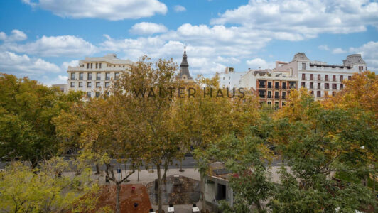 261ac70a-c4ed-4536-8ef3-04941cd856ad7817-5.jpg
