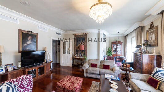 52A01719298-1.jpg