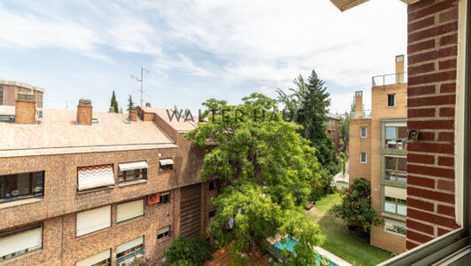 52A01824252-1.jpg