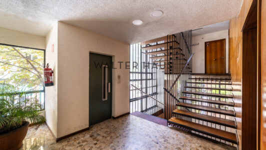 52A0510-HDR436-2.jpg