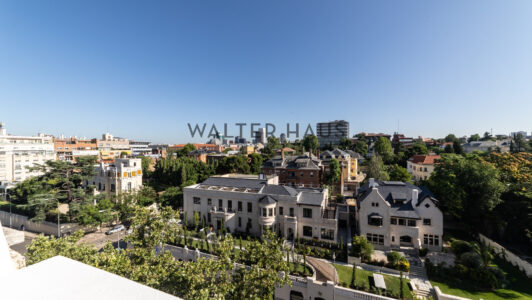 52A10385301-1.jpg