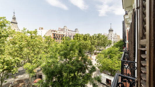 52A65868794-5.jpg