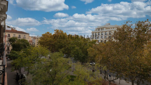 97e7091d-87a0-464d-973e-522f503984a84746-5.jpg