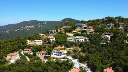 DJI_00045257-1.jpg