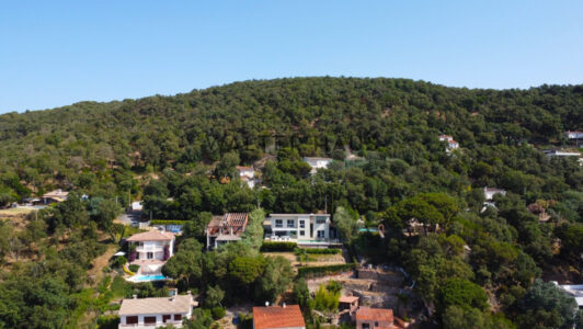 DJI_0052968-4.jpg