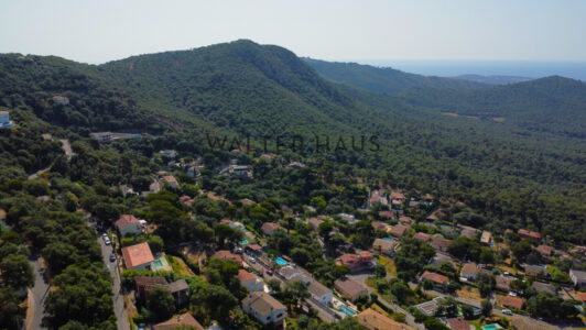 DJI_0053751-4.jpg