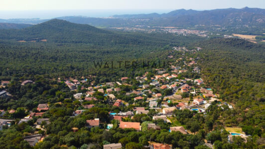 DJI_00541679-4.jpg