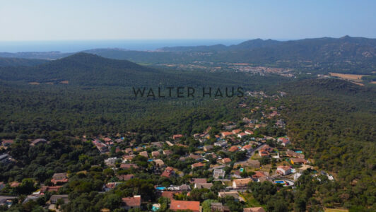 DJI_00552537-4.jpg