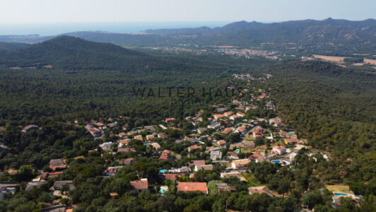 DJI_00563555-4.jpg