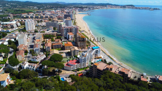DJI_01615235-2.jpg