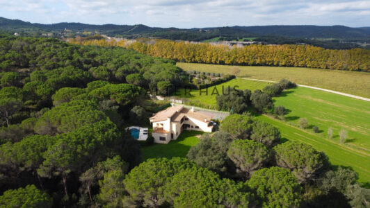 DJI_0602871-5.jpg