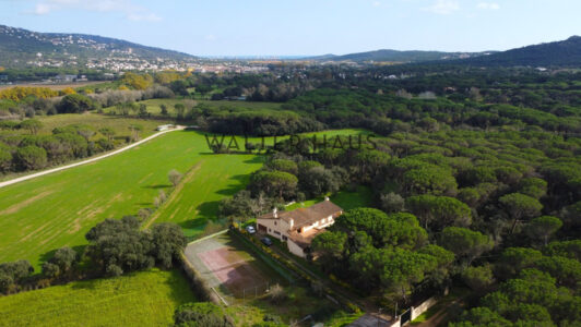 DJI_06036428-5.jpg