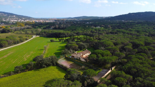 DJI_06051843-5.jpg