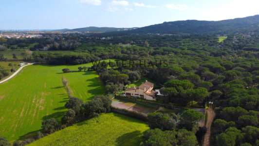 DJI_0606484-5.jpg