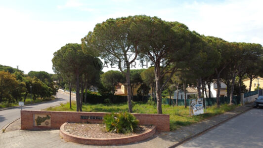 DJI_0890503.jpg