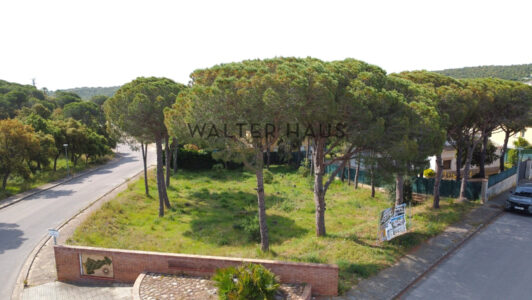 DJI_08916680.jpg
