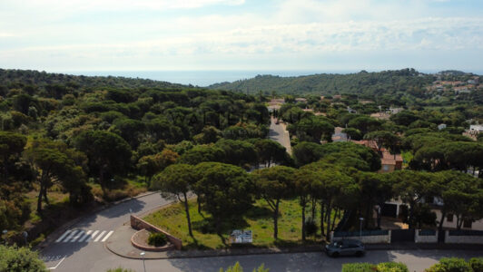DJI_08943811.jpg